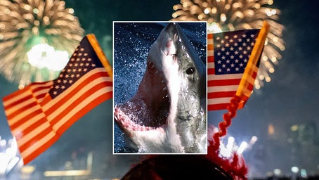 7 shark safety tips that could save your life this July 4th weekend