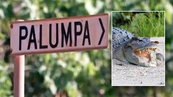 Australian girl, 12, killed by crocodile while swimming in creek