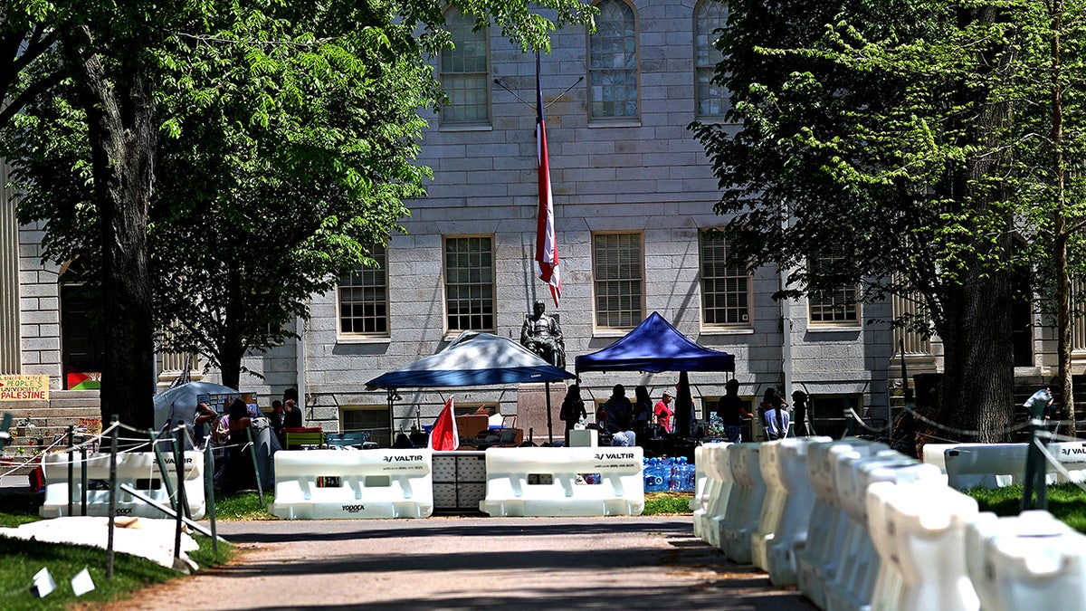 The Harvard Yard encampment