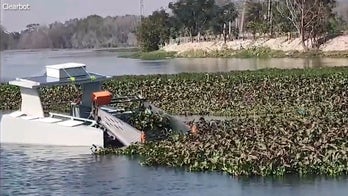 'CyberGuy': Autonomous trash-gobbling roboboats wage war on waterway waste