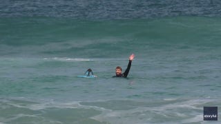 Penguin captured on video bodyboarding off the coast of Cape Town - Fox News