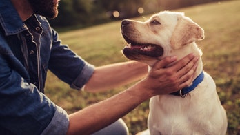 What a Grateful Dead song and a dog named after one of their songs taught me about living my faith