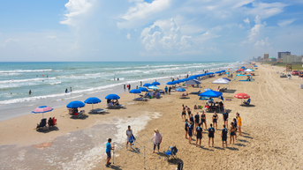 Beachgoers terrorized after shark attacks 4 people at popular US vacation hotspot
