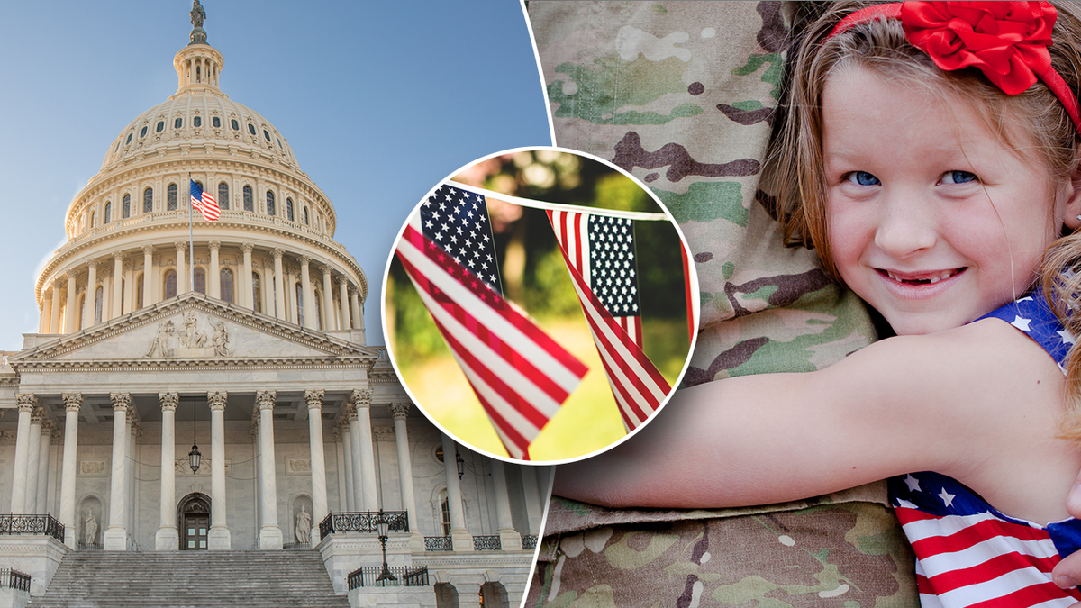 Capitol, flags and military member